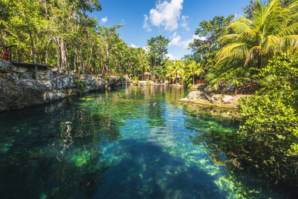 Cenote Jardin del Eden em Tulum Mexico